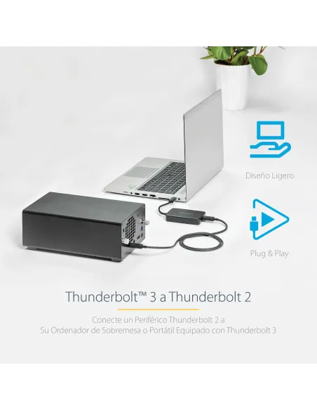 StarTech.com Adaptador Thunderbolt 3 a Thunderbolt 2 de Ordenador Portátil TB3 a Dispositivos TB2 o TB1 - No Reversible -