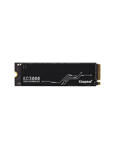 Kingston Technology KC3000