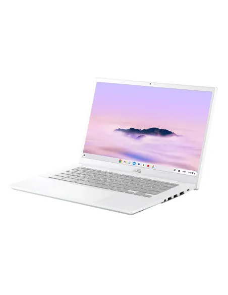 ASUS Chromebook Plus CX34 CX3402CVA-PQ1339 - Ordenador Portátil 14" Full HD (Intel Core 3 100U, 8GB RAM, 256GB UFS, Graphics,