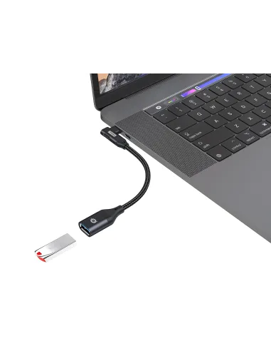 Conceptronic ABBY19B cambiador de género para cable USB-C USB-A Negro