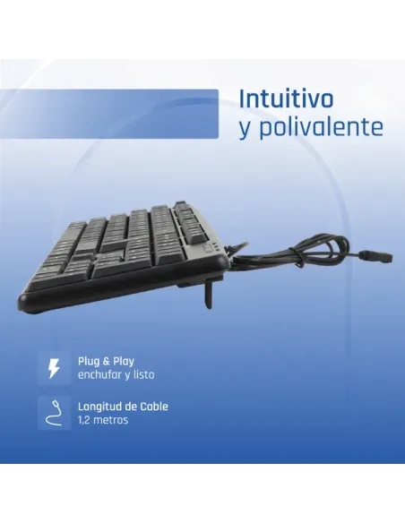 iggual Teclado USB estándar CK-STANDARD-105T negro