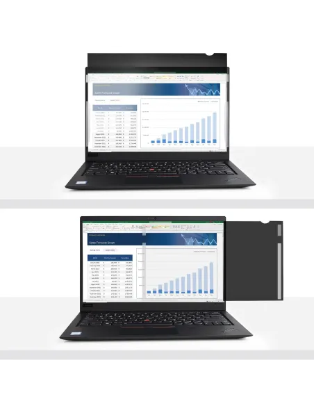 StarTech.com Filtro de Privacidad de 17,3 Pulgadas 16 9 para Portátil - Pantalla de Privacidad Protector Anti Brillo para