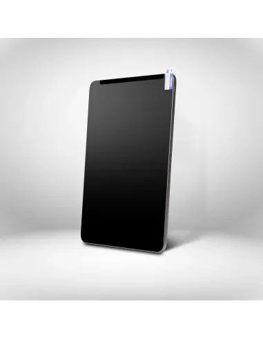 StarTech.com Filtro de Privacidad Táctil de 4 Vías para Orientación Horizontal Vertical + -30° Anti Luz (51%) Mate para iPad