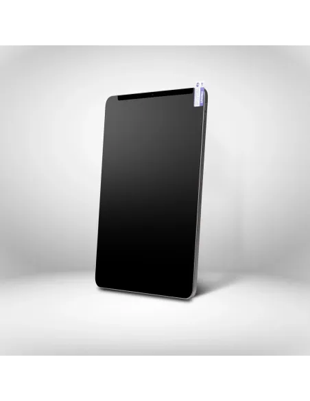 StarTech.com Filtro de Privacidad Táctil de 4 Vías para Orientación Horizontal Vertical + -30° Anti Luz (51%) Mate para iPad