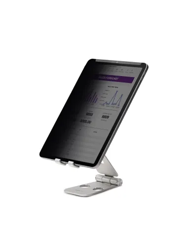 StarTech.com Filtro de Privacidad Táctil de 4 Vías para Orientación Horizontal Vertical + -30° Anti Luz (51%) Mate para iPad