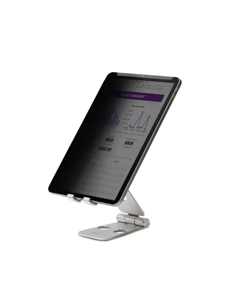 StarTech.com Filtro de Privacidad Táctil de 4 Vías para Orientación Horizontal Vertical + -30° Anti Luz (51%) Mate para iPad