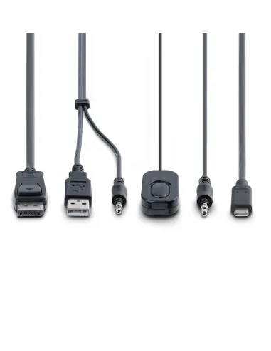 StarTech.com C2-D46-UAC-CBL-KVM interruptor KVM Negro