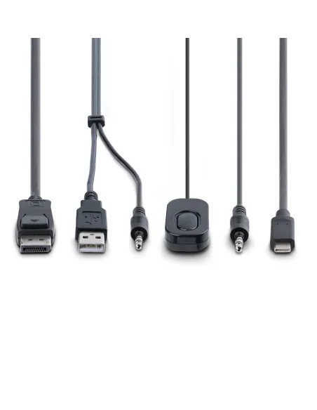 StarTech.com C2-D46-UAC-CBL-KVM interruptor KVM Negro