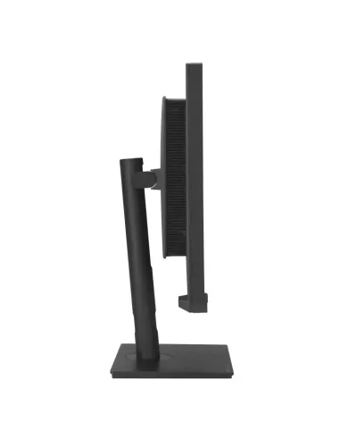 ASUS ProArt Display PA32UCXR pantalla para PC 81,3 cm (32") 3840 x 2160 Pixeles 4K Ultra HD LCD Negro