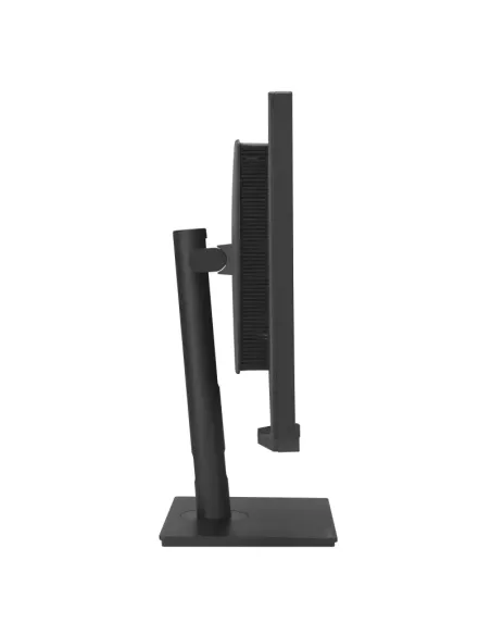 ASUS ProArt Display PA32UCXR pantalla para PC 81,3 cm (32") 3840 x 2160 Pixeles 4K Ultra HD LCD Negro