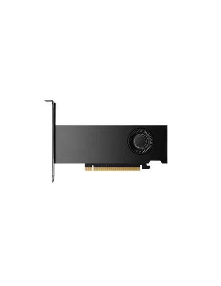 Tarjeta grafica nvidia rtx 2000 ada 16gb 4mdp gfx