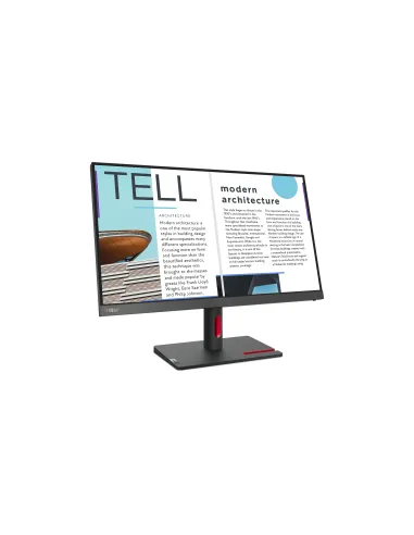 Lenovo ThinkVision S25e-30 pantalla para PC 62,2 cm (24.5") 1920 x 1080 Pixeles Full HD LED Gris