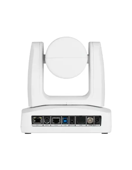 AVer PTZ211 2 MP Blanco 1920 x 1080 Pixeles 60 pps CMOS Exmor 25,4   2,8 mm (1   2.8")