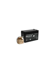 Batería Phasak PHB 1210 compatible con SAI/UPS PHASAK según especificaciones