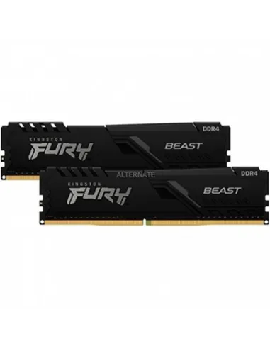 Kingston Technology FURY Beast