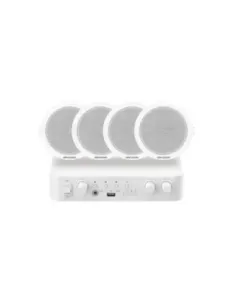 Hikvision DS-QAE1KA80206-4 Kit 1xAmpl 4xAlta Techo