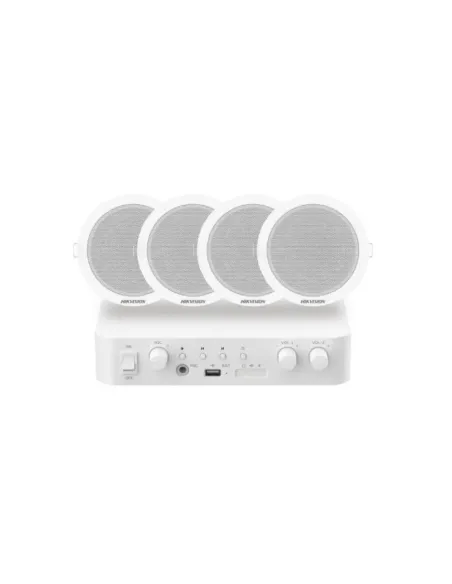 Hikvision DS-QAE1KA80206-4 Kit 1xAmpl 4xAlta Techo