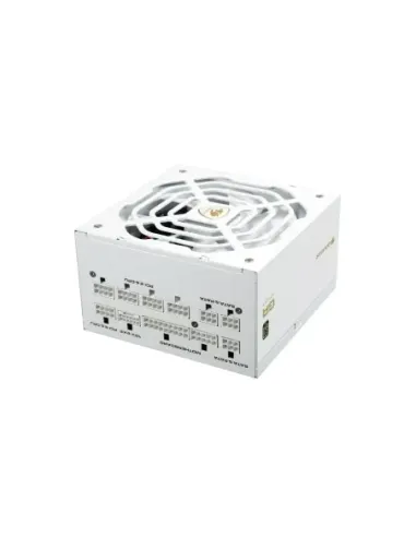 Cougar Fuente Alimentación GR 1000 Snow 80+ Gold