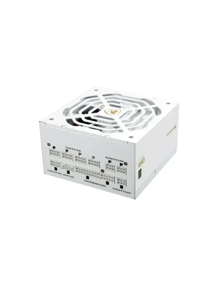 Cougar Fuente Alimentación GR 1000 Snow 80+ Gold
