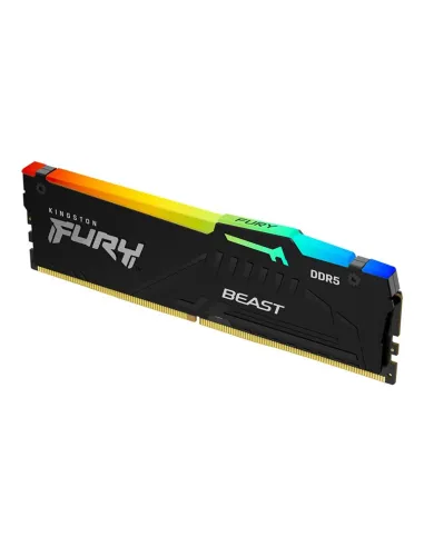 Kingston Technology FURY Beast RGB