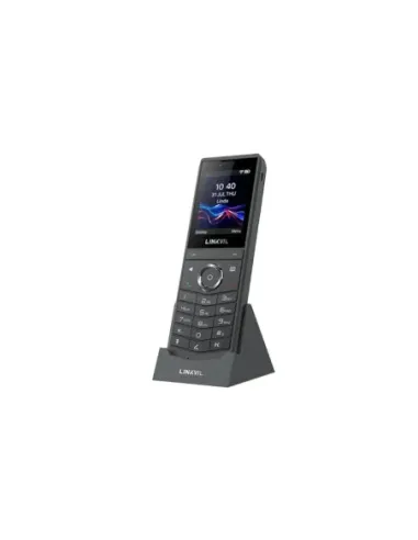Fanvil W620W Portable WiFi6 Phone PTT 2,4" Color