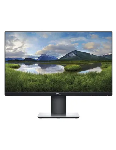 DELL P2419H