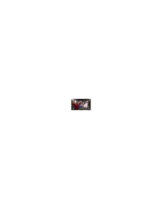 TV LG OLED EVO AI OLED42C64LA 42" 4K ULTRAHD 120HZ SMART TV WEBOS HDR10 DOLBY VISION