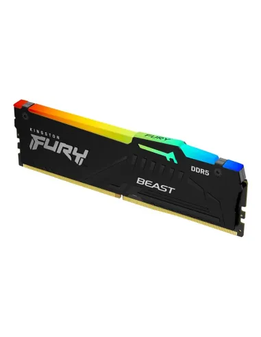 Kingston Technology FURY Beast RGB