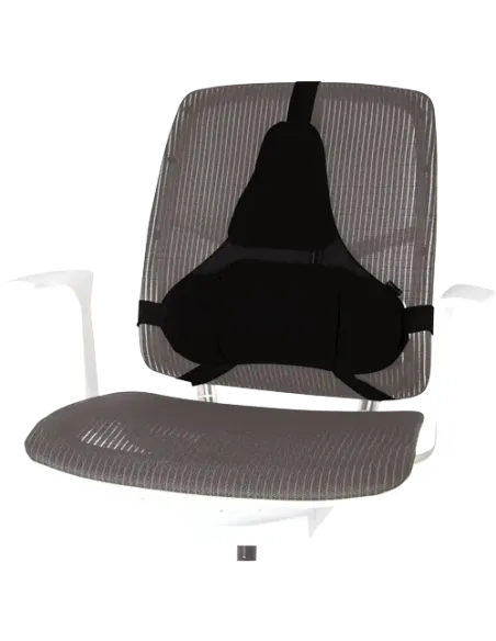 Fellowes Professional Series