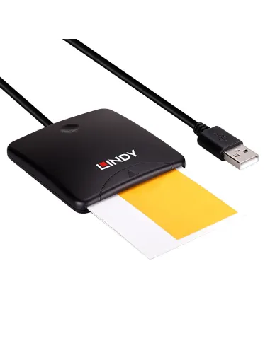 Lindy 43407 lector de tarjeta magnética USB Negro