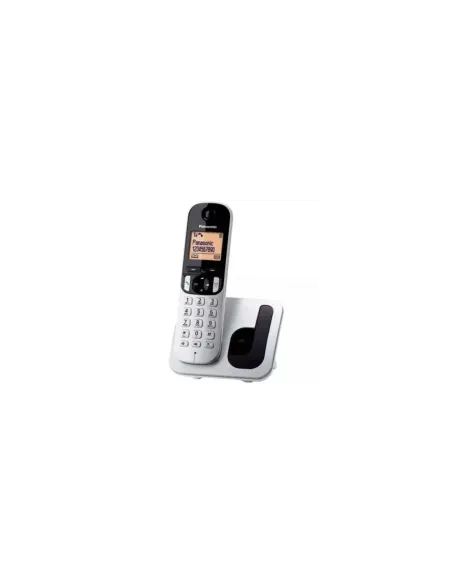 Teléfono Inalámbrico Panasonic KX-TGC210SP/ Plata