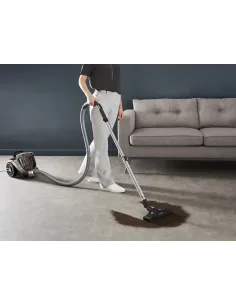 Rowenta Compact Power XXL RO4B30 2,5 L Aspiradora cilíndrica Secar 900 W Sin bolsa 2