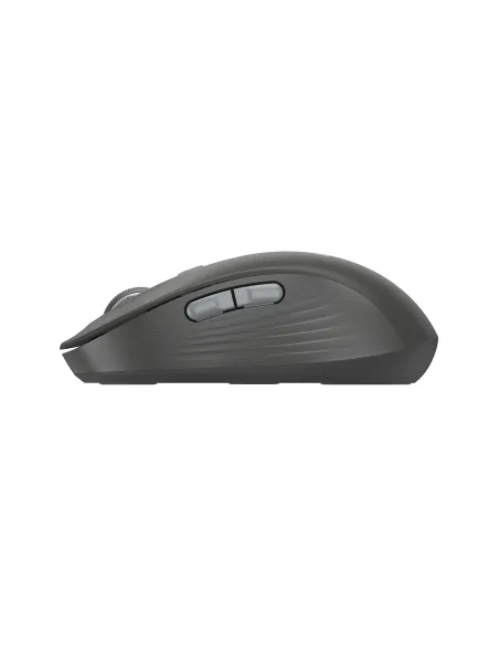 Logitech Signature Plus M750L ratón Universal Mano derecha RF Wireless + Bluetooth Óptico 4000 DPI