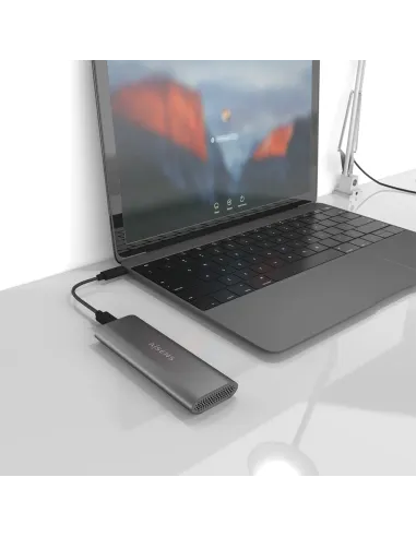 AISENS ASM2-015GR caja para disco duro externo Caja externa para unidad de estado sólido (SSD) Gris M.2