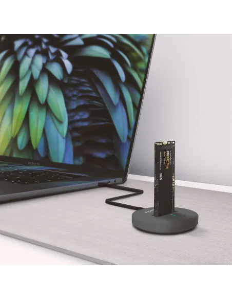 AISENS USB-C Dock M.2 (NGFF) ASUC-M2D014-GR SATA NVMe A USB3.1 Gen2, Gris