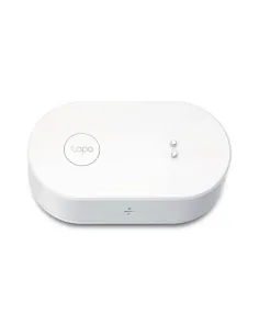 TP-Link Tapo Tapo T300