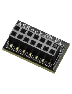 Asrock 90-MCA080-00UBNZ módulo de plataforma de confianza (TPM) SPI