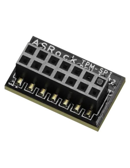 Asrock 90-MCA080-00UBNZ módulo de plataforma de confianza (TPM) SPI