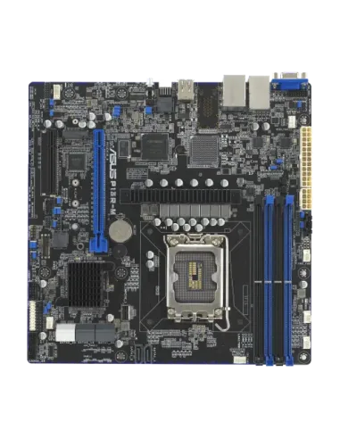 ASUS P13R-M