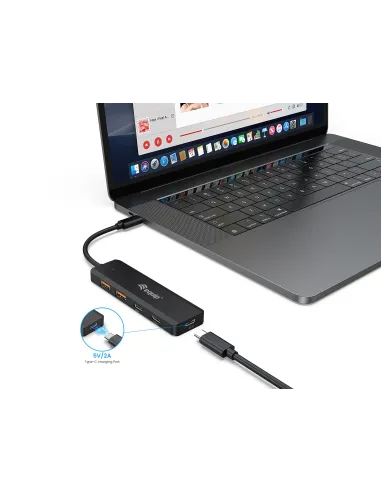 Equip 128966 hub de interfaz USB 3.2 Gen 2 (3.1 Gen 2) Type-C 10000 Mbit s Negro