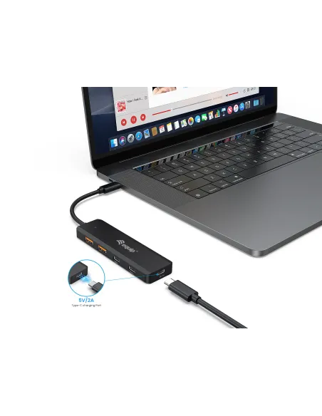 Equip 128966 hub de interfaz USB 3.2 Gen 2 (3.1 Gen 2) Type-C 10000 Mbit s Negro