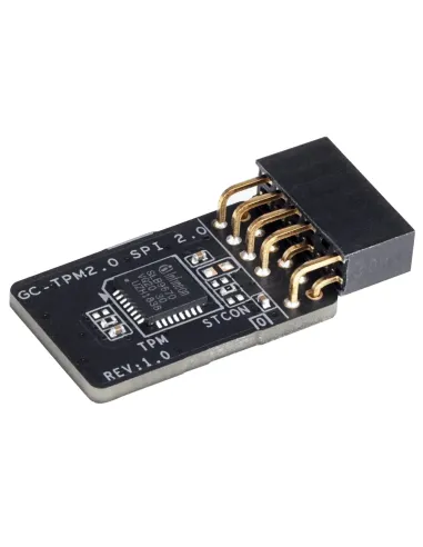 GIGABYTE GC-TPM2.0 SPI 2.0 módulo de plataforma de confianza (TPM)