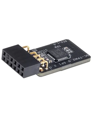 GIGABYTE GC-TPM2.0 SPI 2.0 módulo de plataforma de confianza (TPM)