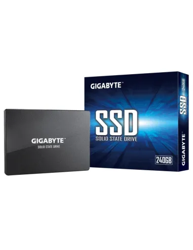 Gigabyte GP-GSTFS31240GNTD