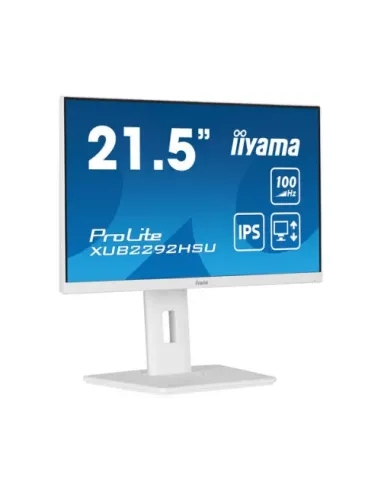 iiyama ProLite XUB2292HSU-W6