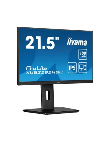 iiyama ProLite XUB2292HSU-B6