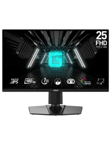 MSI G255PF E2