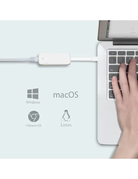 TP-Link UE300C adaptador y tarjeta de red Ethernet 1000 Mbit s