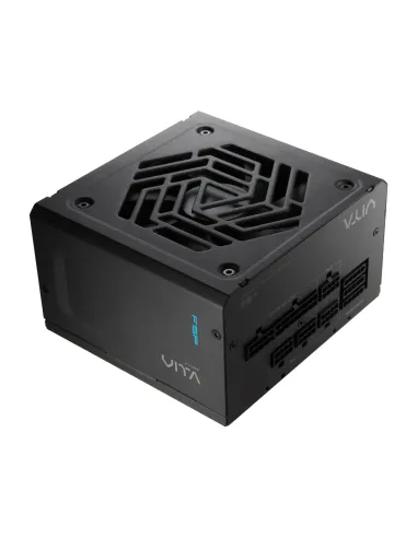 FSP VITA GM 650W Unidad de fuente de alimentación ATX ATX3.1 Negro