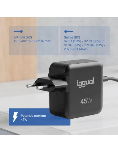 iggual Cargador portátil y móvil tipo C PD 45W